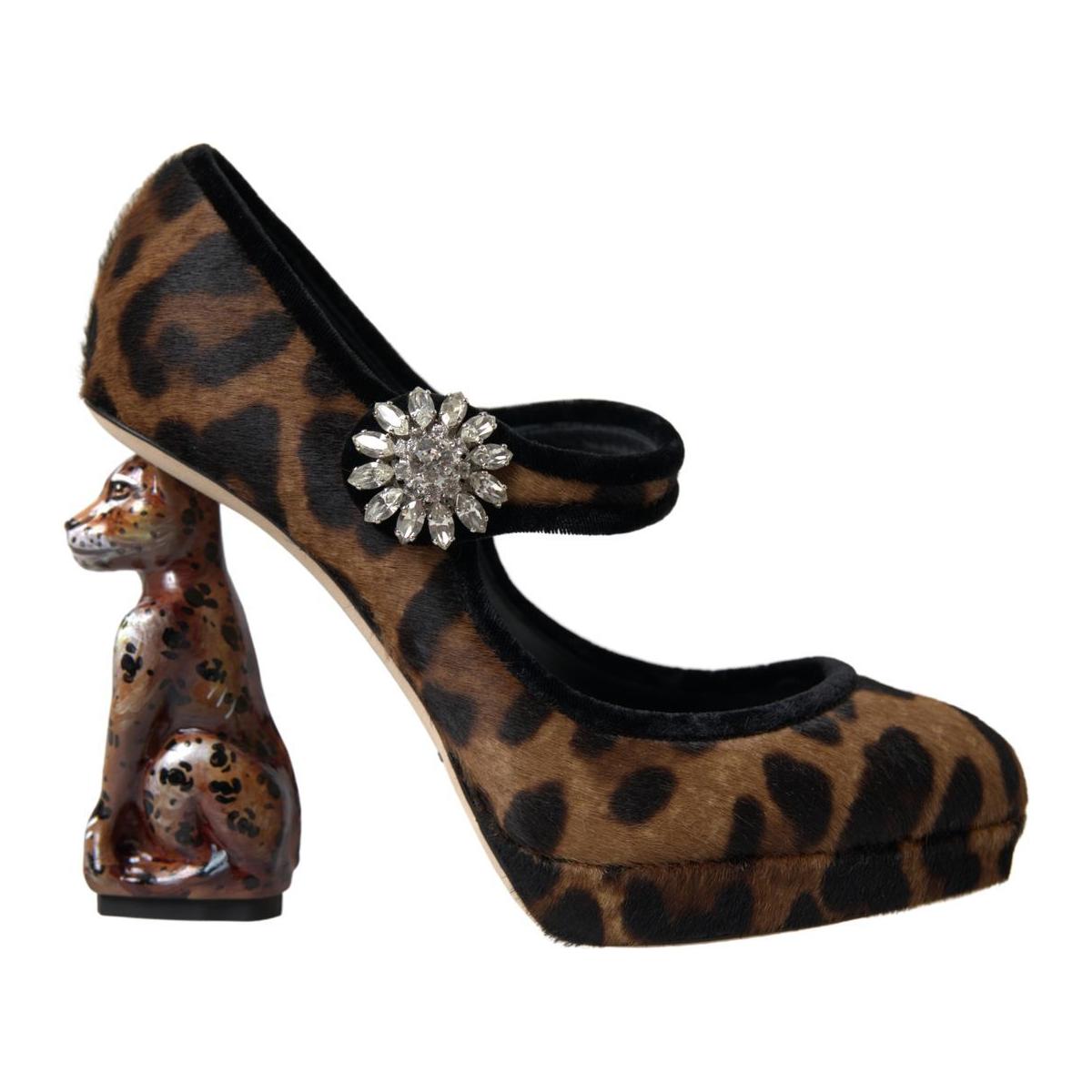 Dolce & Gabbana Elegant Leopard Heel Pumps for Chic Sophistication Dolce & Gabbana