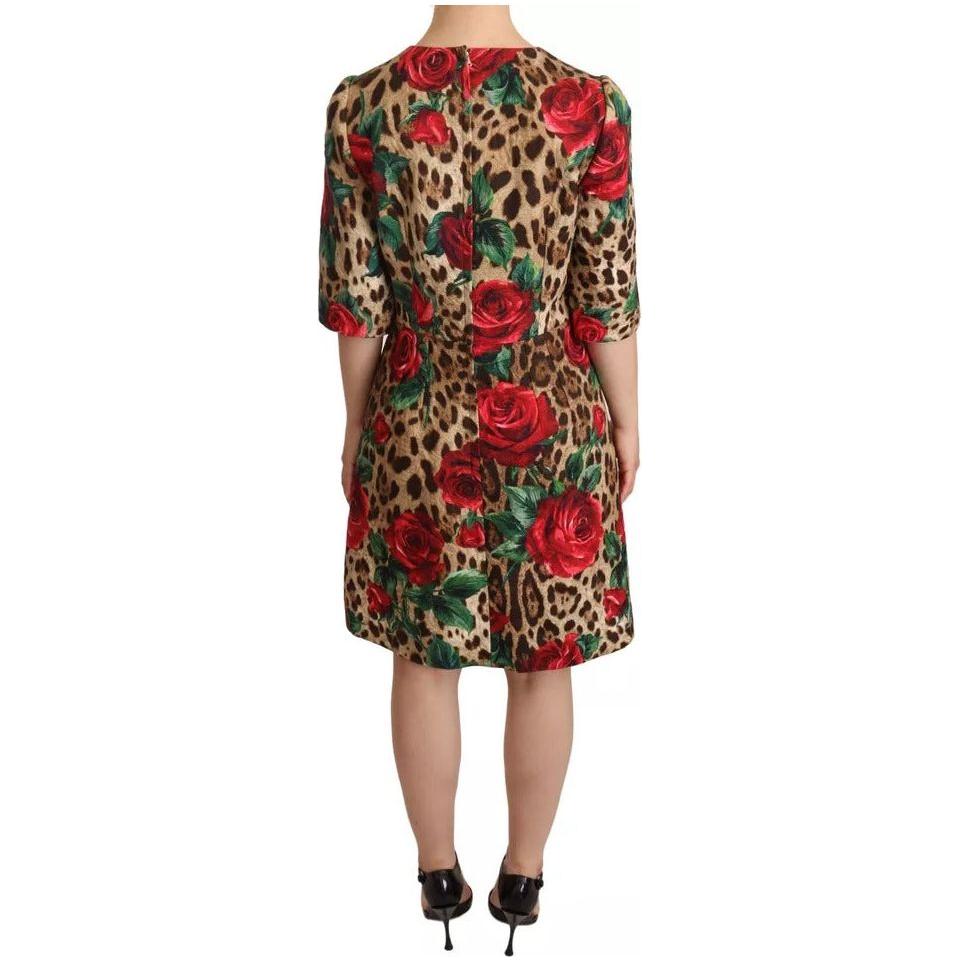 Dolce & Gabbana Brown Leopard Red Roses Cotton A-line Dress Dolce & Gabbana